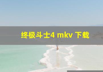 终极斗士4 mkv 下载